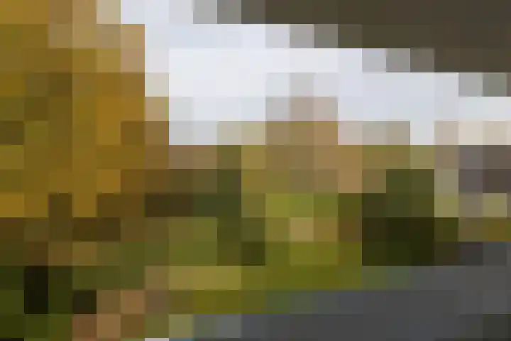 Bloedkoraal 5 Eindhoven thumbnail 22