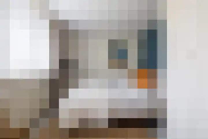 Bloedkoraal 5 Eindhoven thumbnail 24