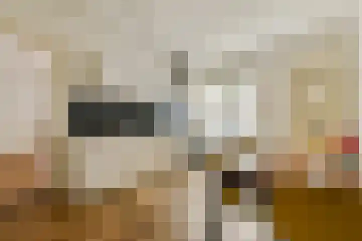 Bloedkoraal 5 Eindhoven thumbnail 25