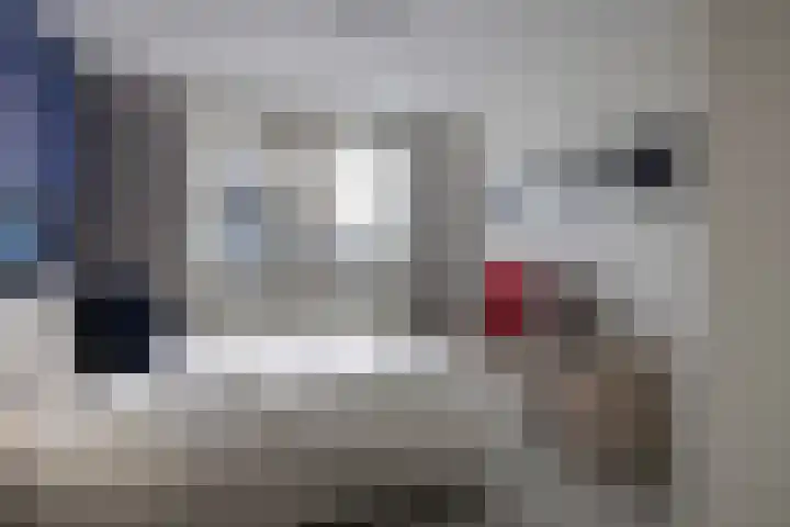 Bloedkoraal 5 Eindhoven thumbnail 26