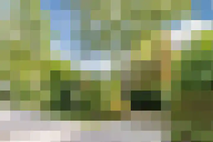 Bloedkoraal 5 Eindhoven thumbnail 28