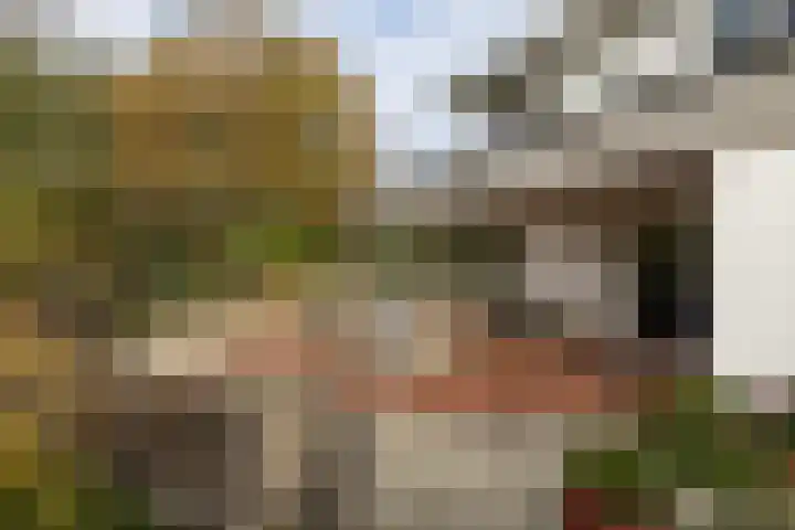 Bloedkoraal 5 Eindhoven thumbnail 32