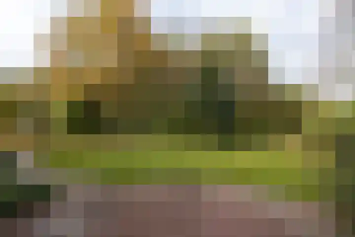 Bloedkoraal 5 Eindhoven thumbnail 33