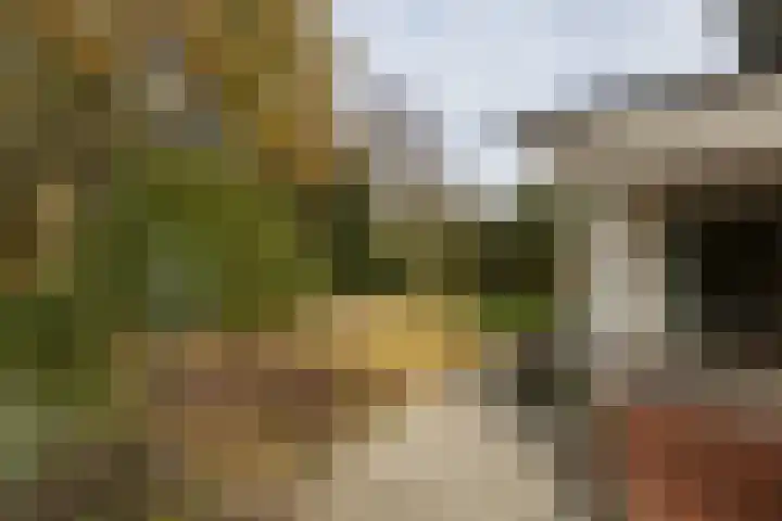 Bloedkoraal 5 Eindhoven thumbnail 34