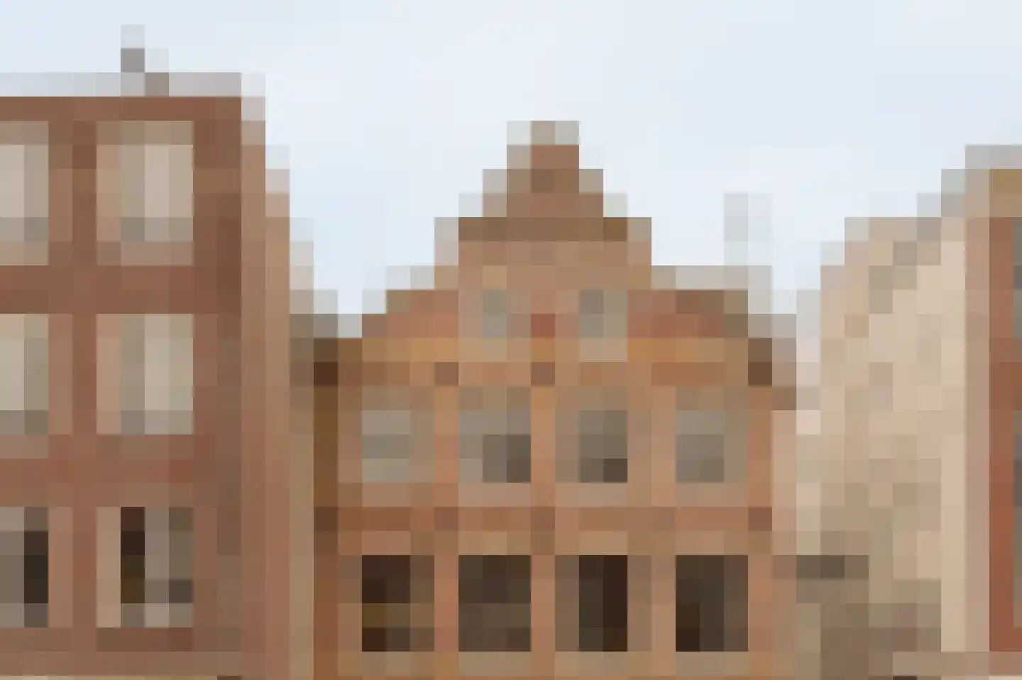 Bloedkoraal 5 Eindhoven thumbnail 5