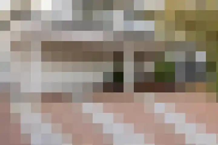 Bloedkoraal 5 Eindhoven thumbnail 6