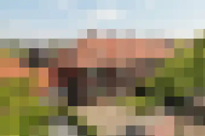 Bloedkoraal 5 Eindhoven thumbnail 7