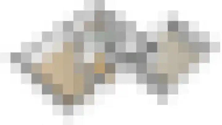 Bloedkoraal 5 Eindhoven thumbnail 9