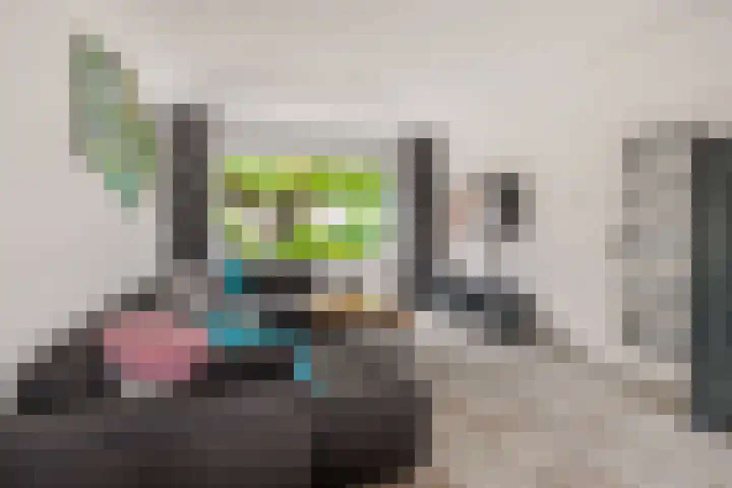 Bloemaertlaan 10 Heerhugowaard thumbnail 12