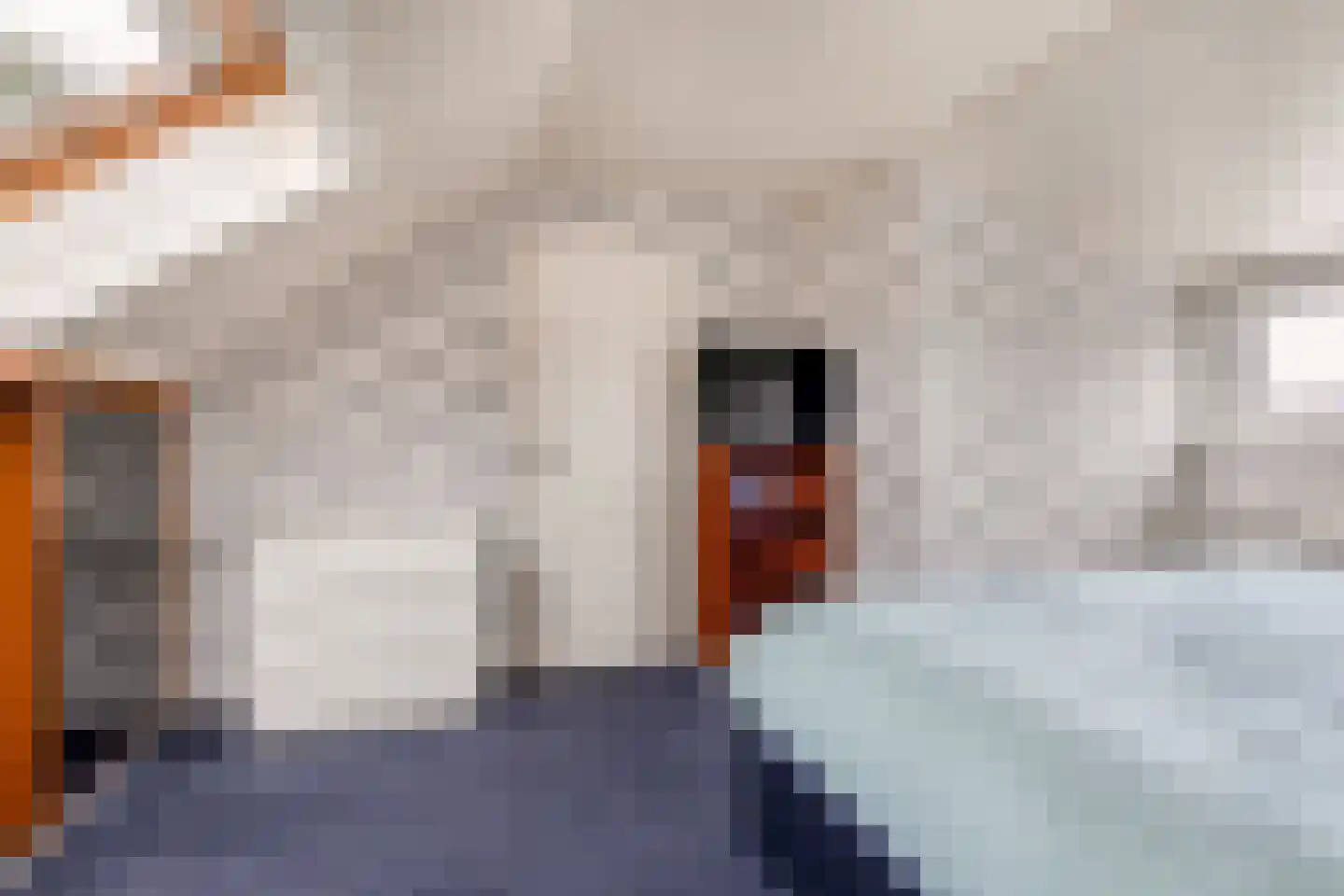 Bloemaertlaan 10 Heerhugowaard thumbnail 28