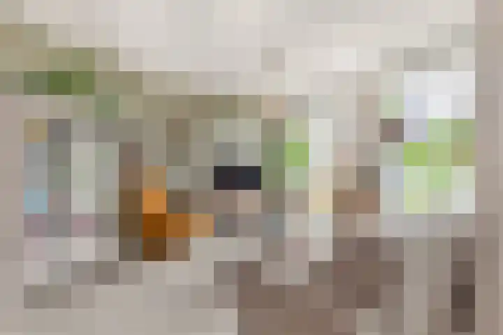 Bloemaertlaan 17 Alkmaar thumbnail 10