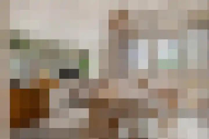 Bloemaertlaan 17 Alkmaar thumbnail 16