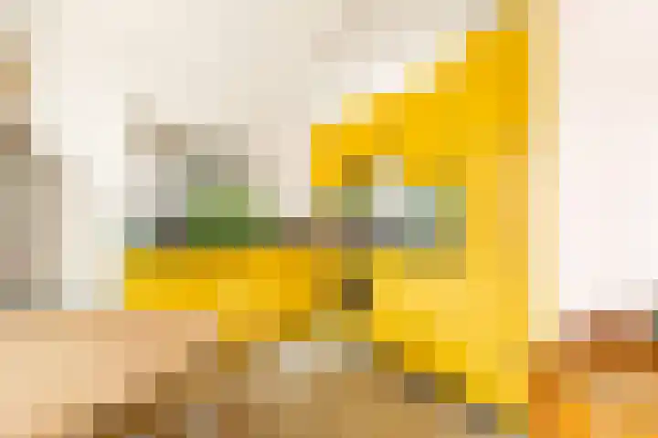 Bloemaertlaan 17 Alkmaar thumbnail 18