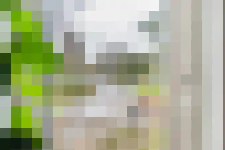 Bloemaertlaan 17 Alkmaar thumbnail 25