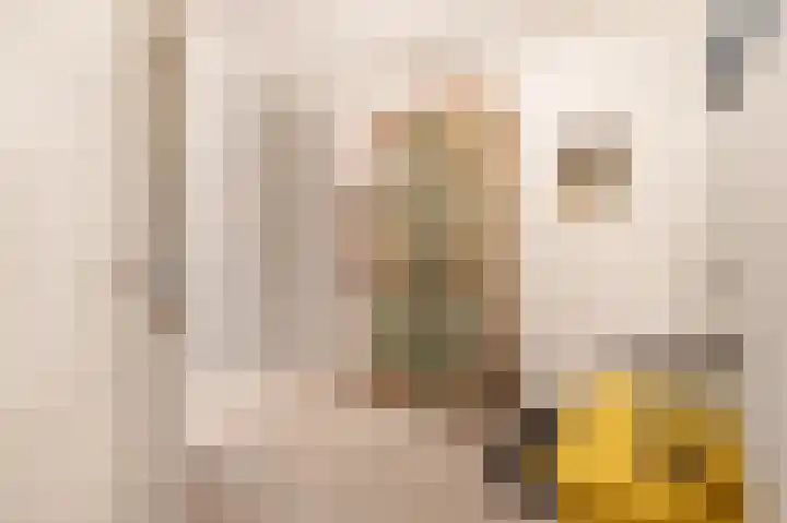 Bloemaertlaan 17 Alkmaar thumbnail 28