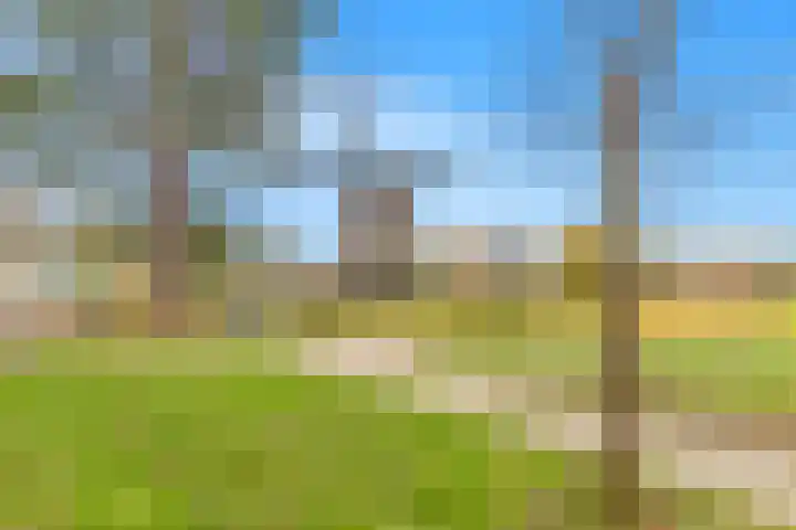 Bloemaertlaan 17 Alkmaar thumbnail 35