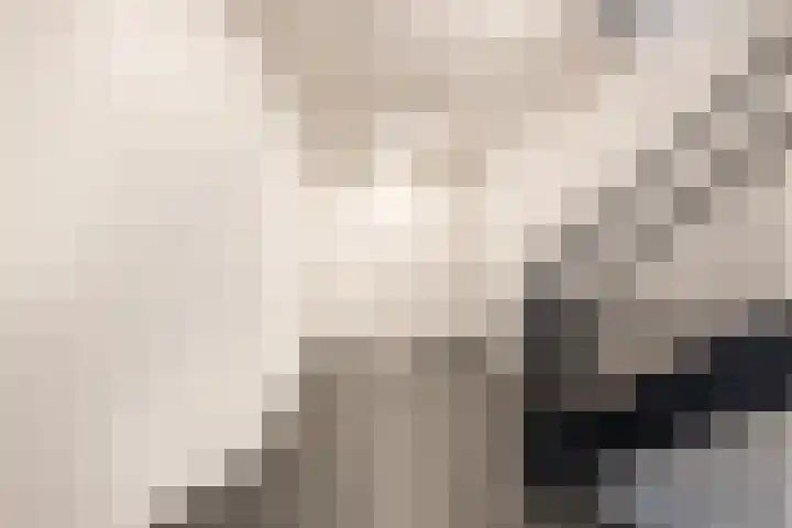 Bloemaertlaan 17 Alkmaar thumbnail 6