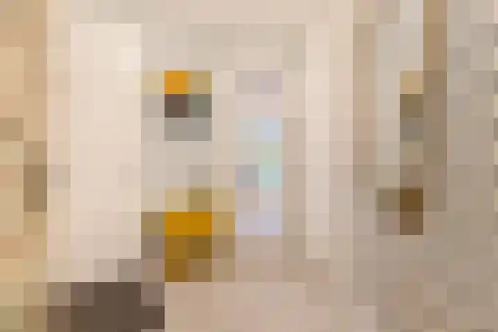 Bloemaertlaan 17 Alkmaar thumbnail 7