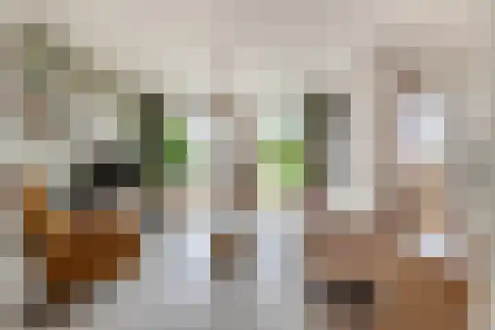 Bloemaertlaan 17 Alkmaar thumbnail 9