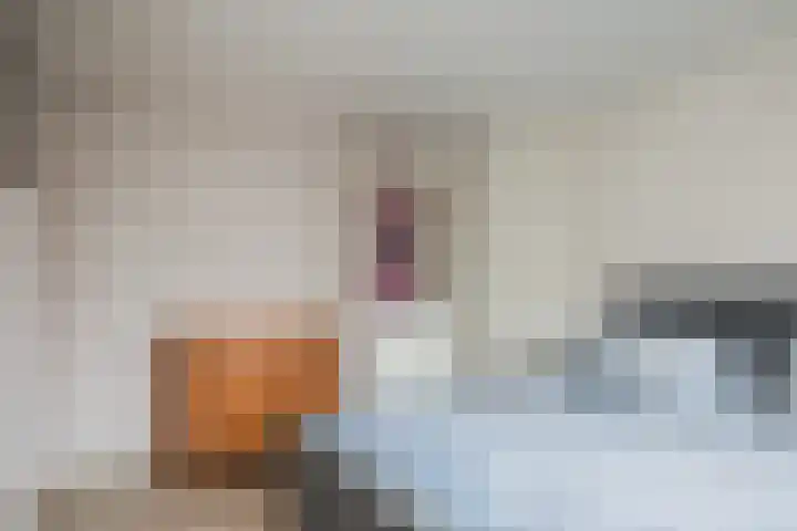 Bloemaertlaan 180 Alkmaar thumbnail 22