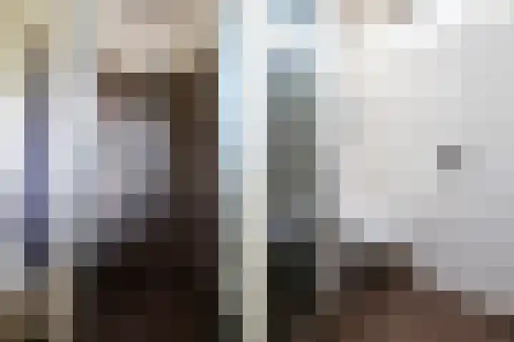 Bloemaertlaan 180 Alkmaar thumbnail 26