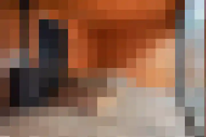 Bloemaertlaan 180 Alkmaar thumbnail 37