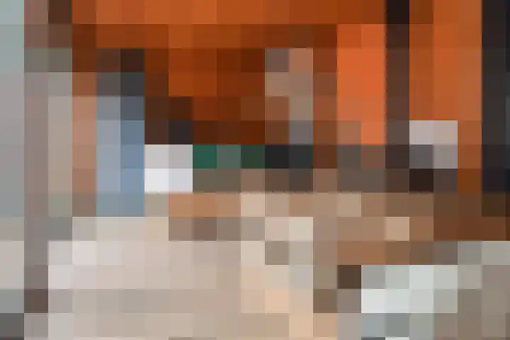 Bloemaertlaan 180 Alkmaar thumbnail 38