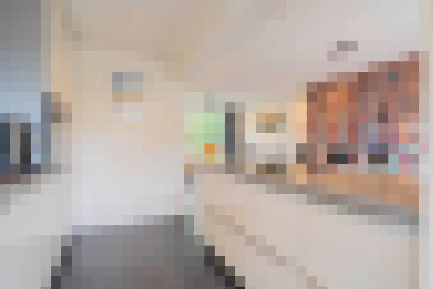 Bloemaertlaan 208 Alkmaar thumbnail 13