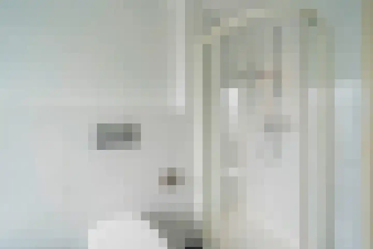 Bloemaertlaan 208 Alkmaar thumbnail 26
