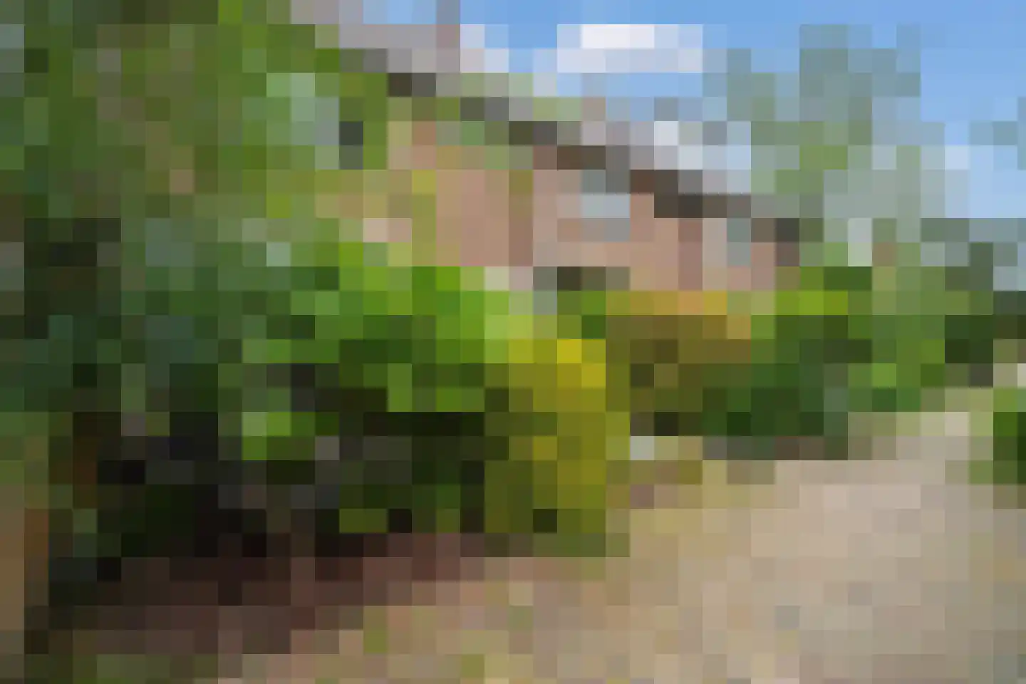 Bloemaertlaan 208 Alkmaar thumbnail 36