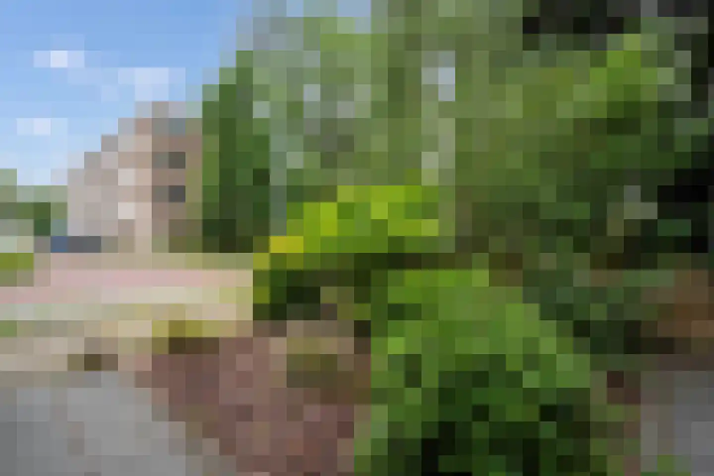Bloemaertlaan 208 Alkmaar thumbnail 37