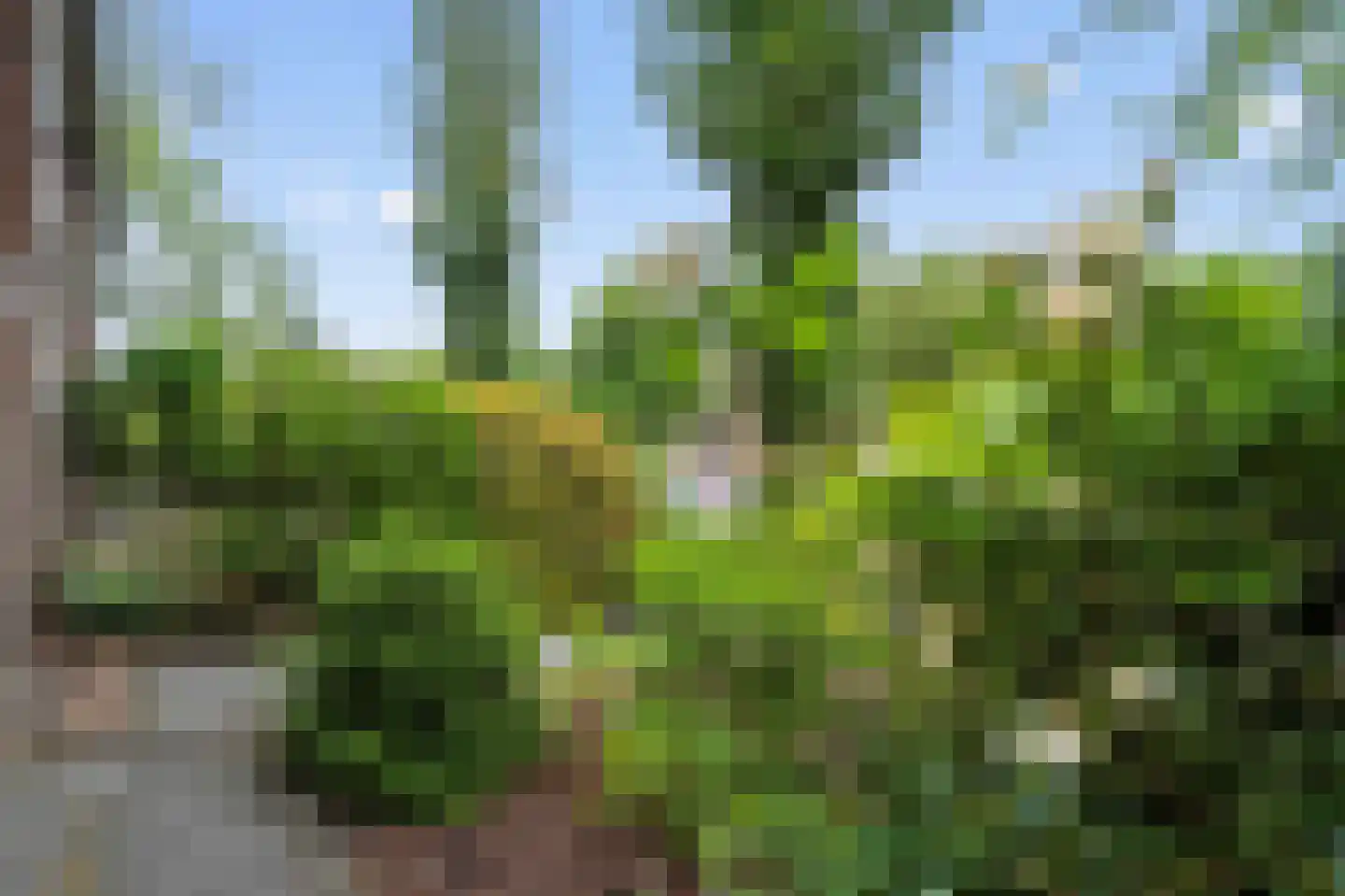 Bloemaertlaan 208 Alkmaar thumbnail 38