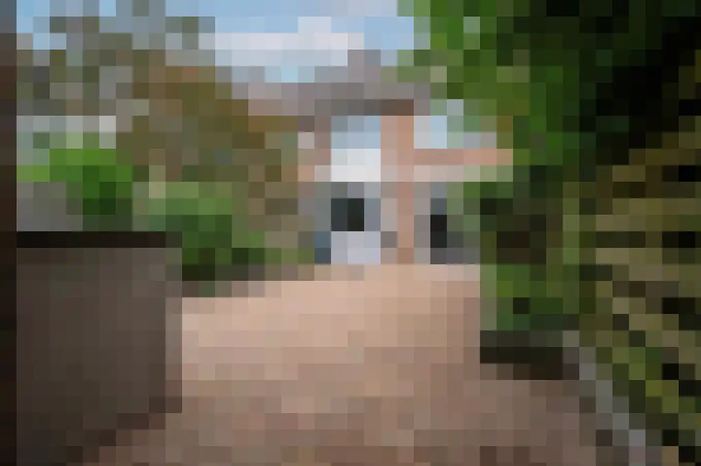 Bloemaertlaan 208 Alkmaar thumbnail 4