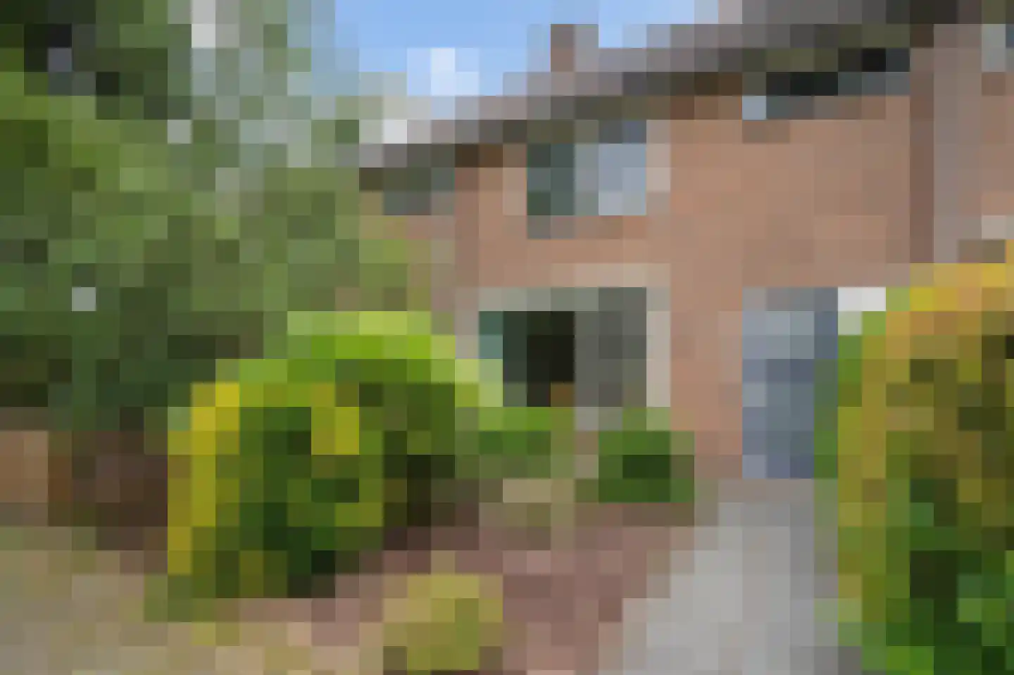 Bloemaertlaan 208 Alkmaar thumbnail 5