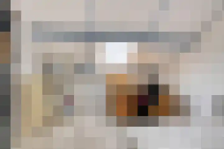 Bloemaertstraat 15 Oud-Beijerland thumbnail 15