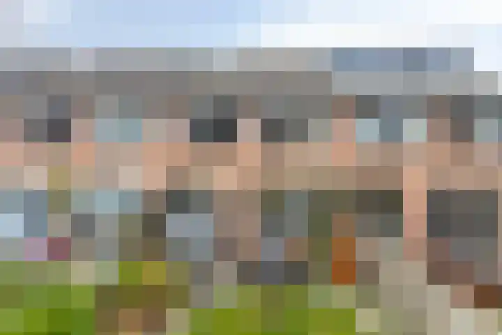 Bloemaertstraat 15 Oud-Beijerland thumbnail 17