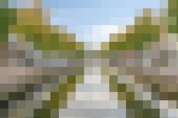 Bloemaertstraat 15 Oud-Beijerland thumbnail 20