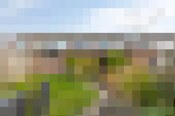 Bloemaertstraat 15 Oud-Beijerland thumbnail 4