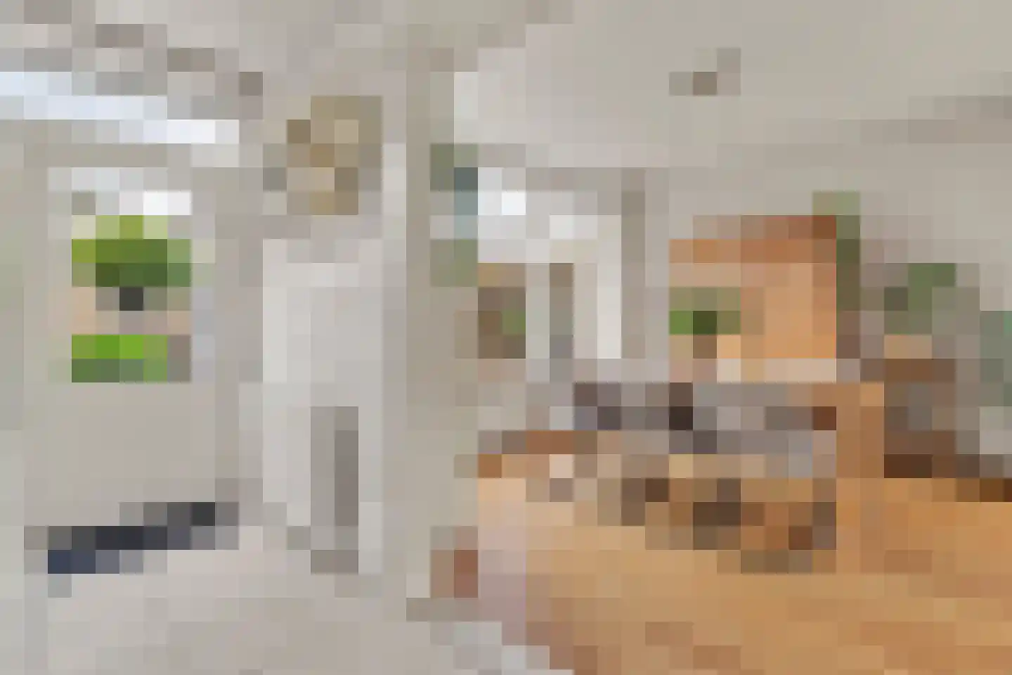 Bloemaertstraat 3 Dongen thumbnail 15