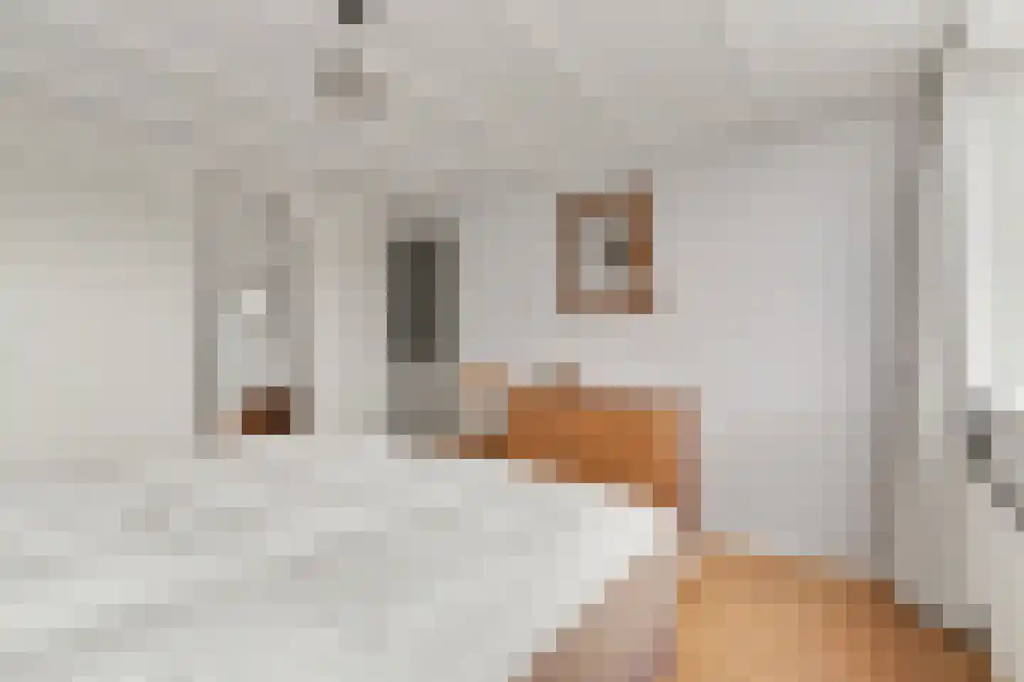 Bloemaertstraat 3 Dongen thumbnail 26