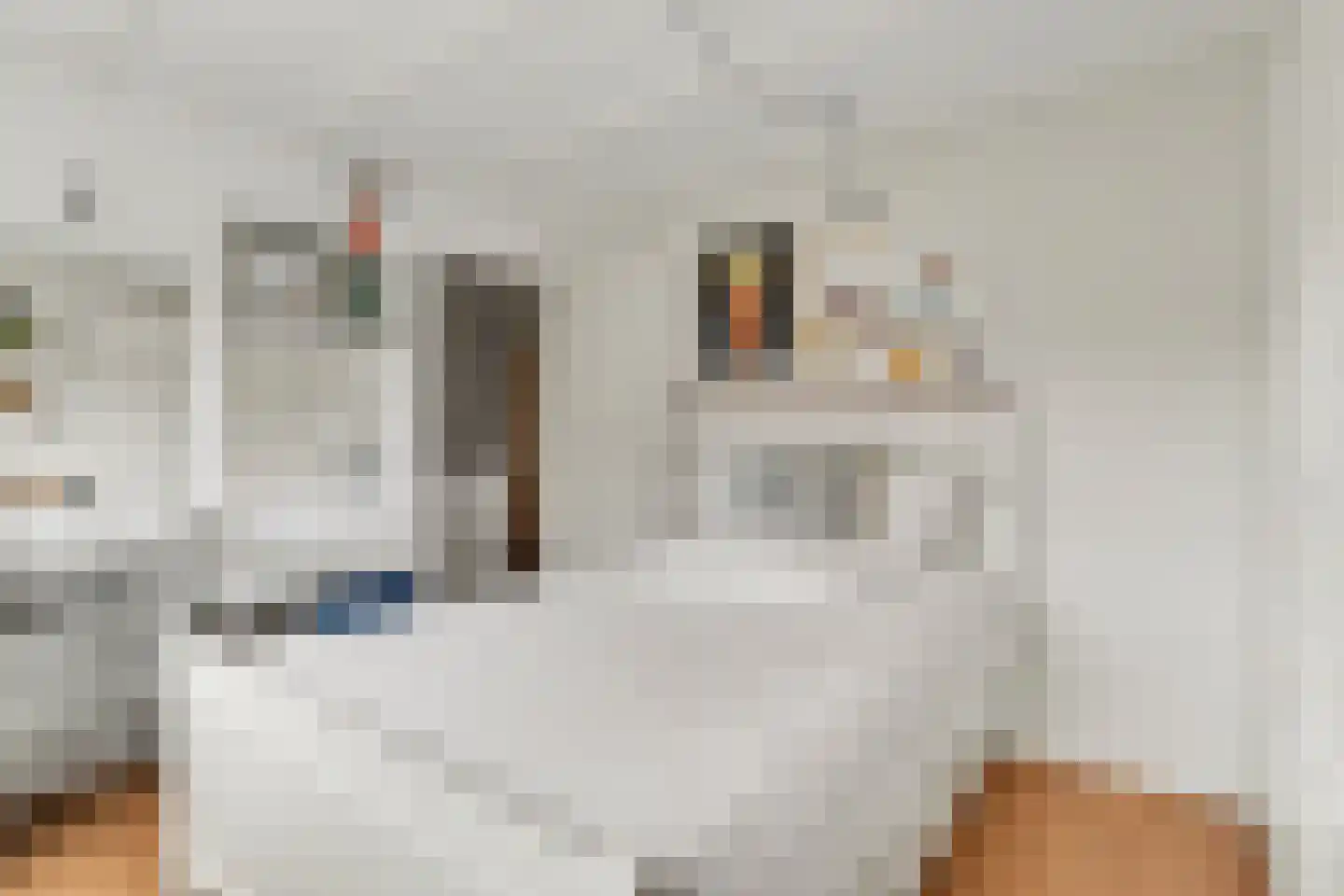Bloemaertstraat 3 Dongen thumbnail 29