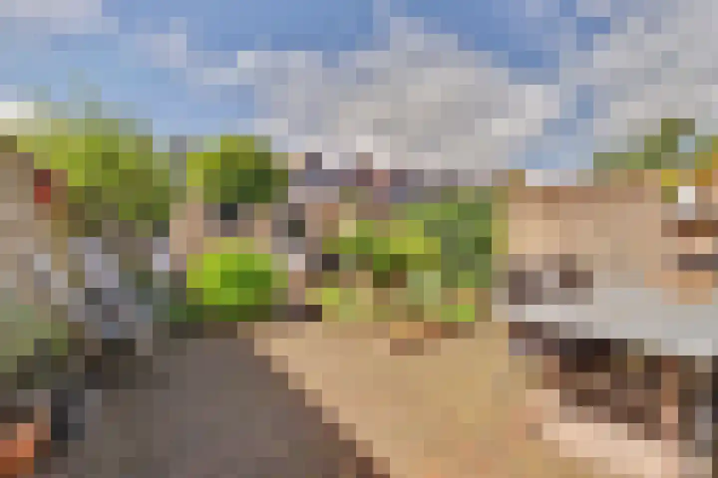 Bloemaertstraat 3 Dongen thumbnail 38