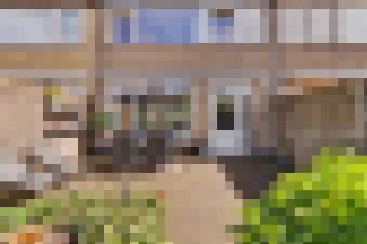 Bloemaertstraat 3 Dongen thumbnail 40