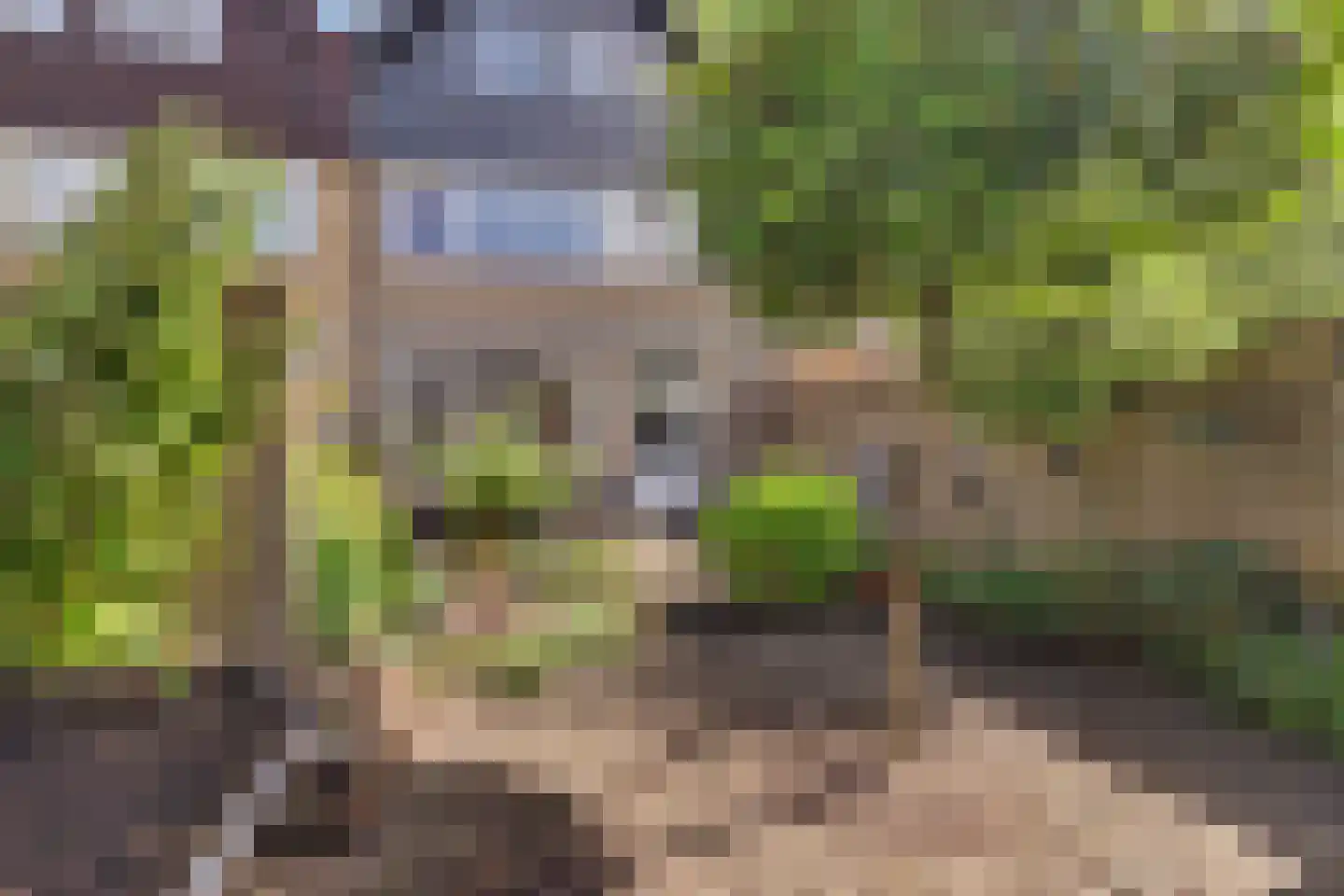 Bloemaertstraat 3 Dongen thumbnail 41