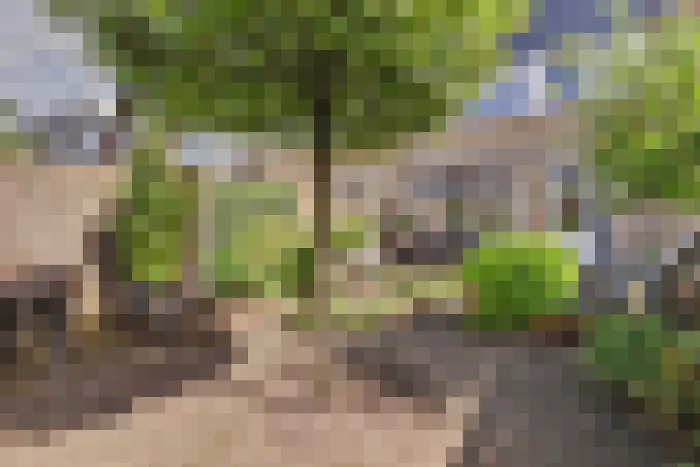 Bloemaertstraat 3 Dongen thumbnail 5