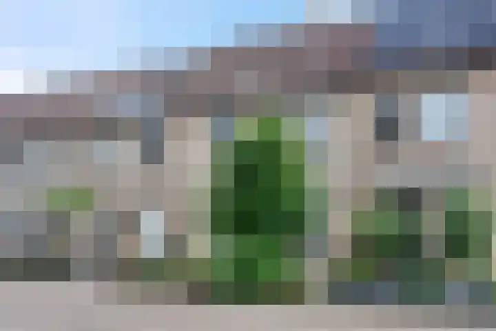 Bloemaertstraat 38 Ede thumbnail 7