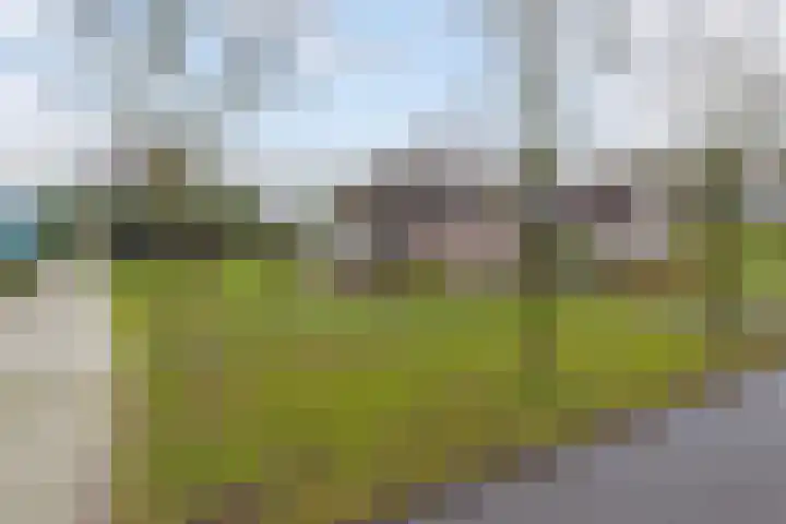 Bloemakkers 10 Gieten thumbnail 10