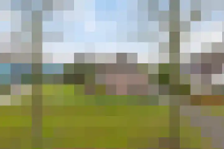 Bloemakkers 10 Gieten thumbnail 11
