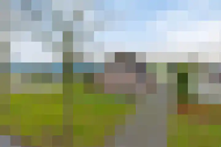 Bloemakkers 10 Gieten thumbnail 12