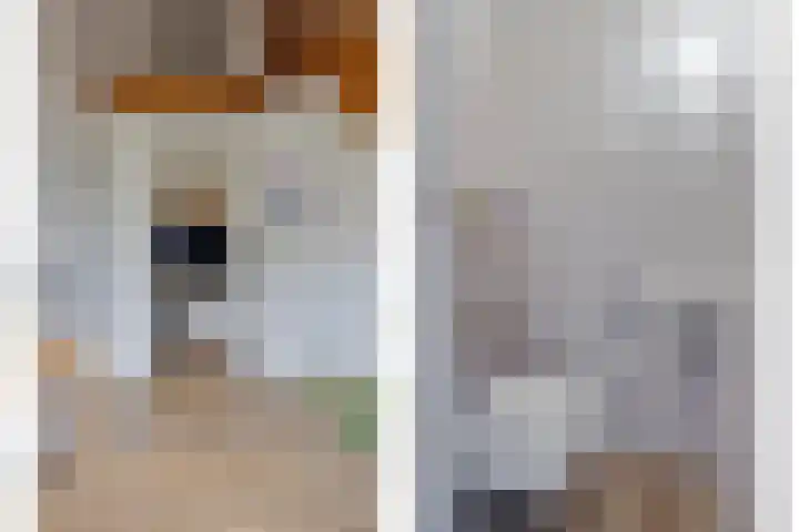 Bloemakkers 10 Gieten thumbnail 15